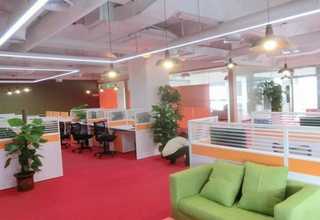 崇明区电话程序服务销售