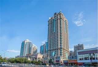 广东锡青铜带报价