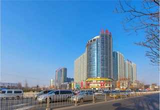 湖南特色代餐粉售后服务